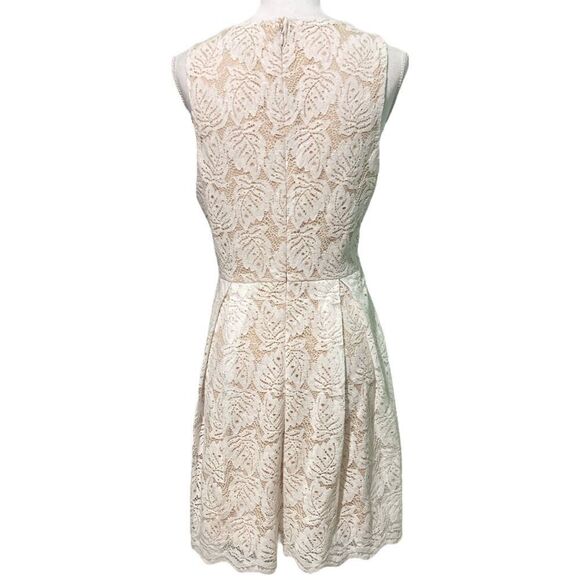 Francesca's Louise Scallop V-Neck Palm Lace A-Line Dress Mini Dress - Picture 5 of 10